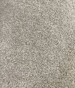 12 x 1310 (166 Sq Ft) Shaw Take the Floor Tonal II Classique Carpet Remnant