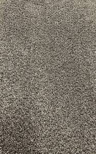 12 x 104 (124 Sq Ft) Shaw Take the Floor Accent II Carpet Remnant