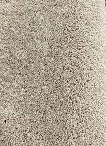 12 x 10 (120 Sq Ft) Shaw Glee Pearlescent Carpet Remnant