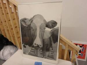 Cow Portrait, Pencil