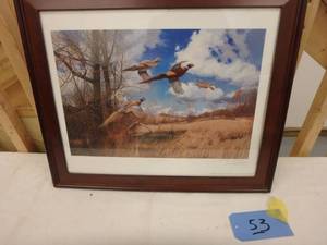 Maas Pheasant Print