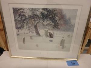 �Roses in the Snow�