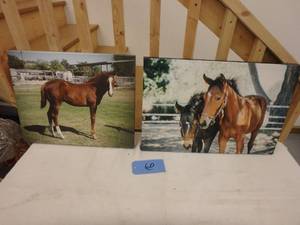 Pair of Horse Canvasses