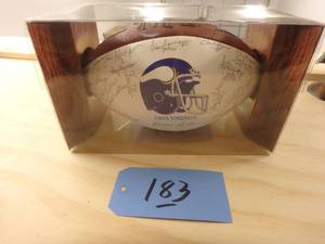 1995 Vikings Football