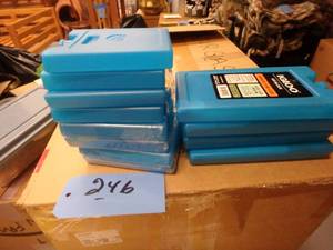 12 Ice Packs, More