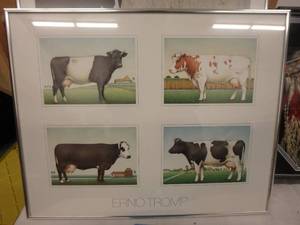 Cows