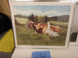 �Daisy and Gus�