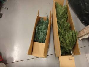 Two Small Artificial Trees