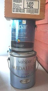 Paint