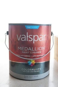 Paint