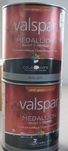 Paint