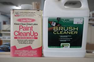 Brush and paint cleaner