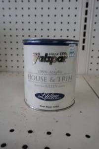 Paint