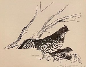 Signed Lithograph by Charles J. Johnston