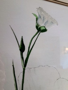 Framed Floral Sketch by Phil Korell