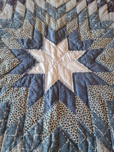 Blue and White Star Quilt