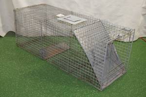 Extra Large Advantek Live Trap - 15 x 15 x 42