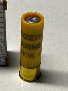 lot 216 image: (5) Rounds Of Federal 20gauge 2.75...