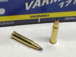 lot 99-A image: (200) Rounds Of CCI A17 Varmint-Tip...