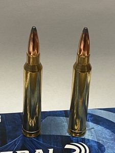 lot 1 image: (20) Rounds Of Federal Premium .300...