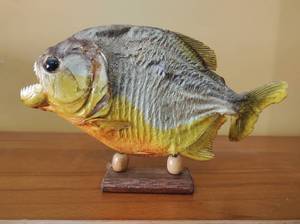 lot 66 image: Mounted Parana