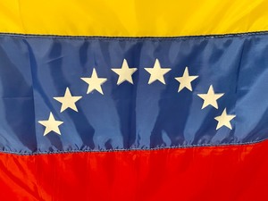 lot 205 image: Venezuela Flag