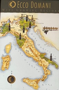 lot 208 image: Ecco Domani Wine Growing Regions Framed Poster