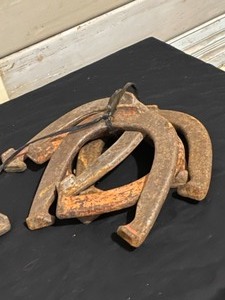 Set of 10 Horseshoes