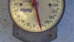 Large Capacity Hanging Scale