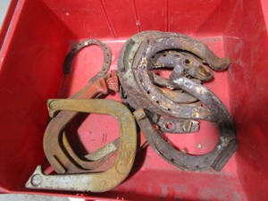 lot 440 image: Horseshoes throwing & farm...