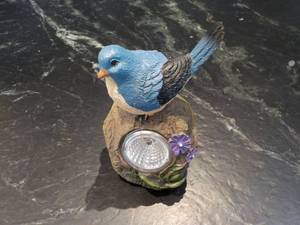 Solar Bird Spot Light...