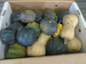 Box of Assorted Winter Squash...