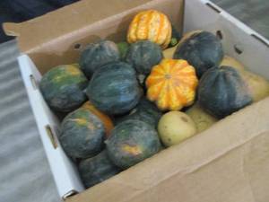Box of Assorted Winter Squash...