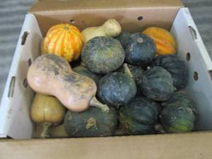 Box of Assorted Winter Squash...