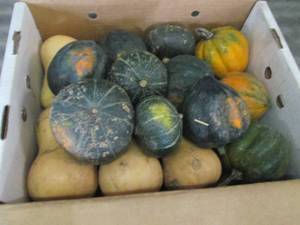 Box of Assorted Winter Squash...