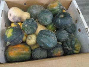 Box of Assorted Winter Squash...