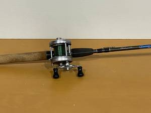 Fishing Rod & Reel