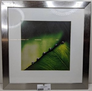 Green Leaf Print with Silver Frame