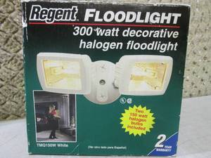 lot 65 image: (EC1) Regent 300W Halogen Floodligh...
