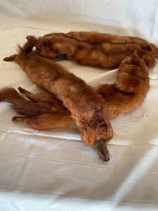 4 Full Mink Wrap CollarShawl