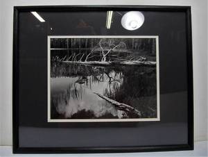lot 278 image: ANSEL ADAMS SIESTA LAKE, YOSEMITE NATIONAL PARK, CALIFORNIA