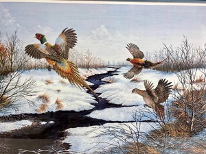 lot 176 image: Framed Signed Numbered Wildlife Print by Donald Blackney - Pheasant Country
