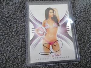 lot 34 image: 2014 Bench Warmer Syd Wilder Autogr...