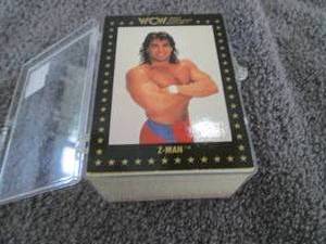 lot 39 image: 100 1991 WCW Wrestling Cards...