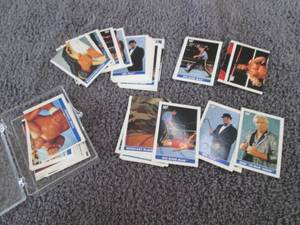 lot 175 image: 73 1991 WWF Wrestling Merlin Sticke...