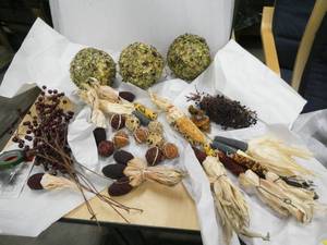 Group of All Natural Fall dcor - dried mini corn cobs, berries, mushrooms, flowers