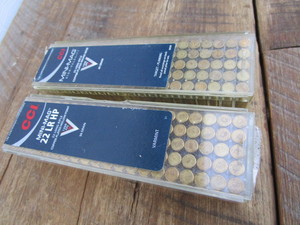 Mini Mag 22cal LR, hollow point...