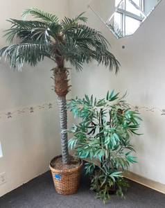 lot 25 image: 2 Decorative Artificial Trees