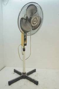 fan