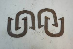 horse shoes